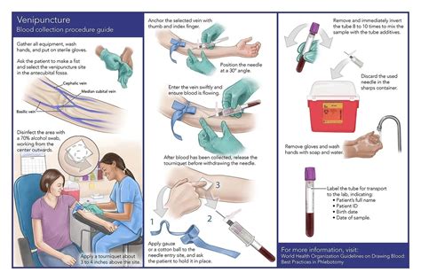 WTAMU Phlebotomy Procedure