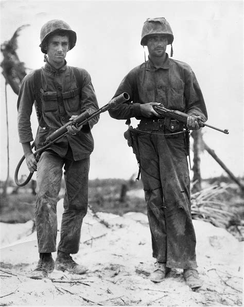 WW2 WWII Photo US Marines & War Dogs on Okinawa 1945 …