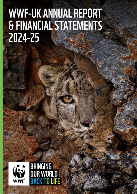 WWF Financial Info and Annual Impact Highlights - raincitystudios.com