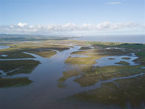 WWT Steart Marshes attraction reviews - WWT Steart Marshes …