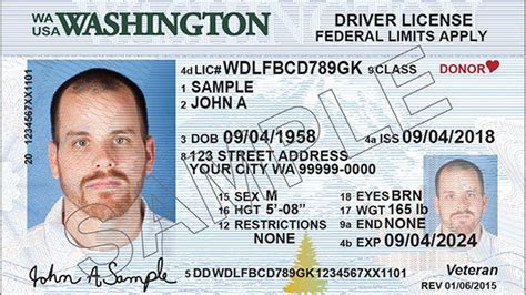 Wa dl. There are special rules for active duty military personnel and veterans who reside in Washington or are stationed here. Learn more about these rules for getting your license, registering a vehicle, tax exemption on new vehicles and professional licenses. 
