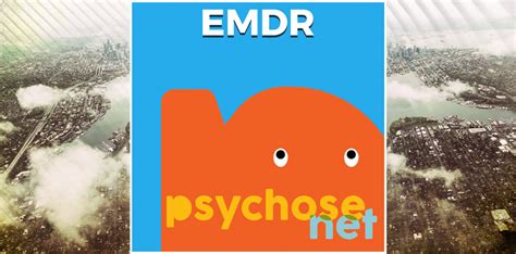 Waar staat EMDR voor