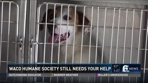 Waco humane society. The shelter’s operating hours also are changing. The new hours, effective today, will be from 11 a.m. to 6 p.m. Monday through Saturday, except for Thursdays, when the shelter will be open from ... 