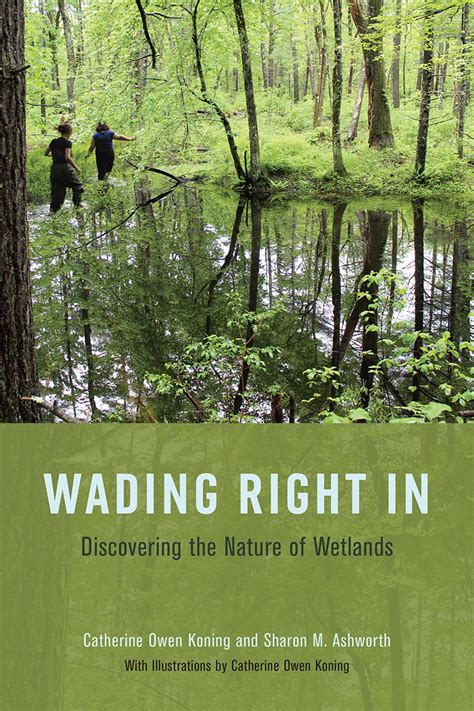 Read Wading Right In Discovering The Nature Of Wetlands By Catherine Owen Koning