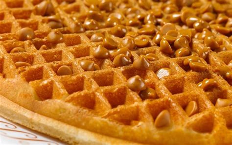 Waffle House waffles requires flour, soda, salt, egg, sugar, milk, and vanilla extract. Combine flour, salt, and baking soda. Beat the egg. Then add the sugar, butter, shortening, and buttermilk. Cover and chill the batter overnight. Preheat the waffle iron and cook the batter for 3-4 minutes. Your waffle is ready.. 
