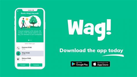 Wag Android App: Play Store. Wag iOS App: App Store. Wag Dog Walking Features . Wag has many features that makes the platform great for service providers and customers. In Customer’s App, features like Search and Filter, Profile, Photo Updates, Real-time Tracking and Reports are available..