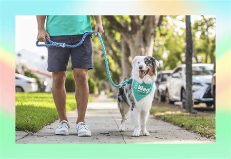 Wag walking. Things To Know About Wag walking. 