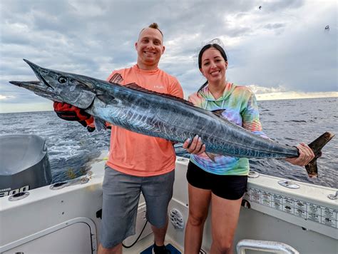 Wahoo near me. Things To Know About Wahoo near me. 