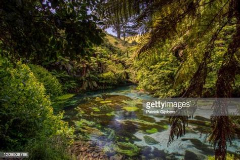 Waiau Bay