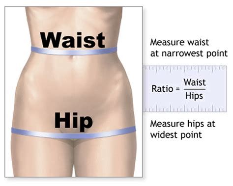 Waist to Hip Ratio How To Measure It and Why It Matters