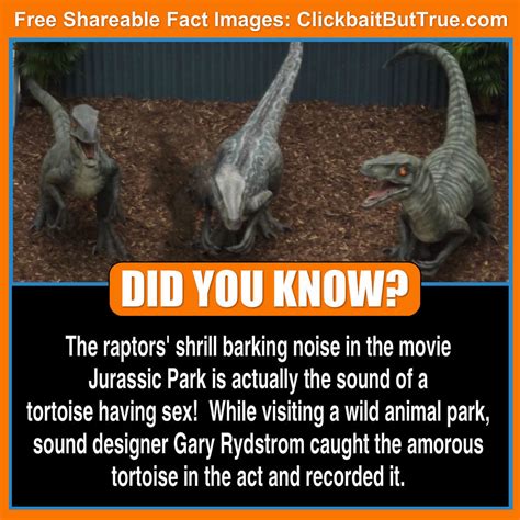 Wait, they used WHAT to make the velociraptor noises in …