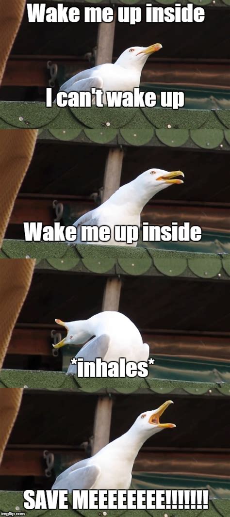 Wake up wake me up inside. Things To Know About Wake up wake me up inside. 