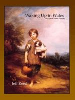 Waking Up in Wales Old and New Poems