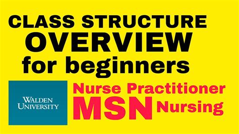 Walden University's online master's in nurse practitioner program is 100% online. Walden University's online MSN nurse practitioner program is CCNE-accredited and designed to prepare individuals for long-term careers in nursing practice. Entry to the program requires a bachelor's degree or higher.. 