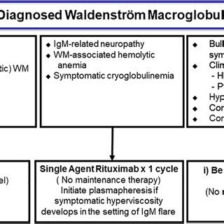 Waldenstrom macroglobulinemia - Care at Mayo Clinic