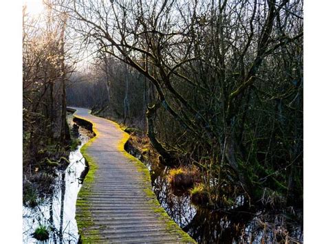 Waldfriedhof wandelroutes en hikes Komoot