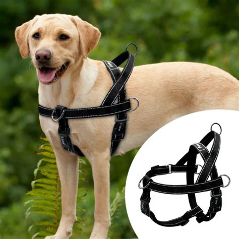 Walk-On with Harness & Storage – Angel Paws Boutique