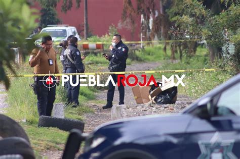 Walker Torres Video Puebla