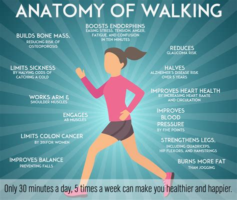 Walking for health and fitness by consumer guide. - Hai un cervello, una guida per adolescenti a t h i n k b i g.