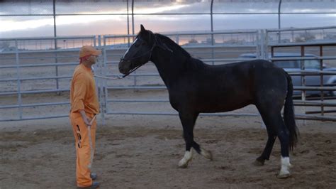 The Wyoming Honor Farm's Wild Horse Program, which began in early 1988, plays an important role in inmate rehabilitation as it provides an opportunity for inmates to learn how to respect animals and people through day-to-day challenges. Respect is a life skill that many inmates need help developing while incarcerated. 
