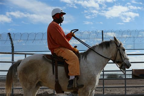 Walking horse prison. Approximately 5 percent of state budgets, which are funded through taxpayers, go towards prisons and corrections programs. On the flip side, approximately 25 percent is used to fund K to 12 education. 