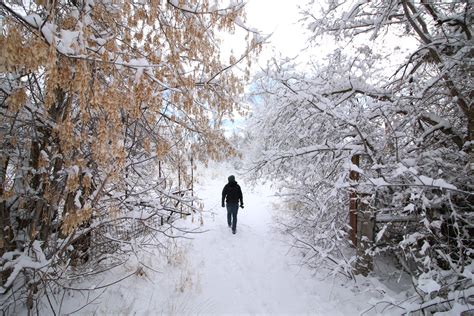 Walking in a winter wonderland. Things To Know About Walking in a winter wonderland. 