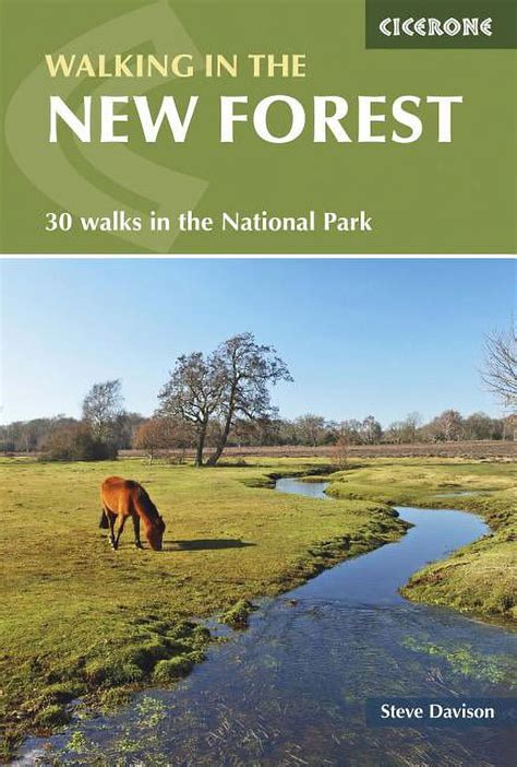Walking in the new forest 30 walks in the new forest national park british walking cicerone guides. - Pdf gratuito manuale di manutenzione toledo seat.
