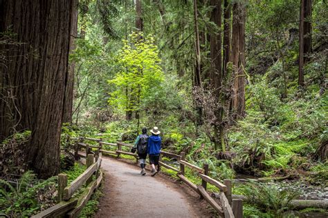 Walking paths. Marlborough: With an ascent of 436 ft, Gibbs Mountain Loop Trail has the most elevation gain of all of the walking trails in the area. The next highest ascent for walking trails is Ghiloni Park Loop with 249 ft of elevation … 