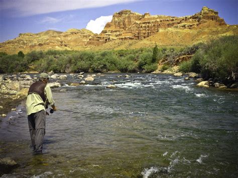 Walking the winds a hiking and fishing guide to wyoming. - Teledyne gurley pathfinder 50 user manual.