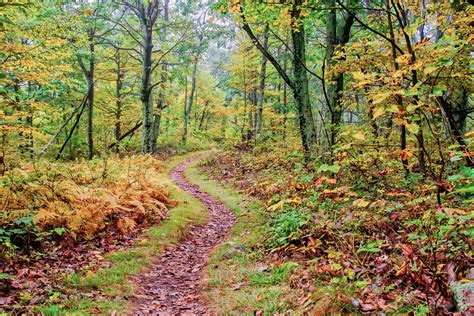 Walking trails