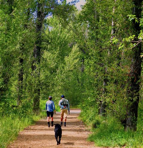 Walking trails near me dog friendly. Looking forward to getting out onto the trails and enjoying nature? First, you’ll need to find the perfect pair of New Balance hiking shoes for women. With the right shoes, you’ll ... 