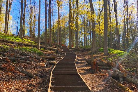 Walking trails nearby. Hurricane Creek Park. Length: 3.1 mi • Est. 1h 7m. Well-maintained trail for hiking, geocaching, trail running, and mountain biking. There is a long approach trail to get to the loops. This track is … 