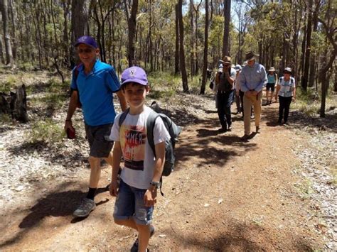 Walks and Park of Jarrahdale - Jarrahdale Heritage …