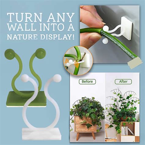 Wall clips for climbing plants.  In this article, I will be diving into the w...