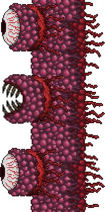 The Wall of Flesh (commonly abbreviated as WoF) is an aptly named wall made out of flesh that is the height of the entire Underworld Biome. It is the boss of the Underworld and is the final Pre-Hardmode boss. Defeating it in a world for the first time will permanently activate Hard Mode for that world. It is summoned only when the Guide is killed by allowing a Guide Voodoo Doll to fall into ... 