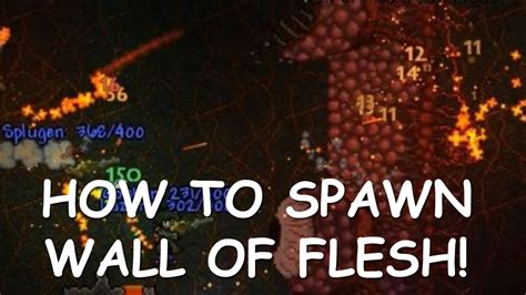 Wall of flesh not spawning. Things To Know About Wall of flesh not spawning. 