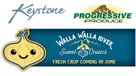 Walla Walla sweet onions await mid-June start – Produce Blue Book