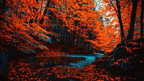 Wallpapers 1920x1080.  Thousands of new images every day Completely Free...