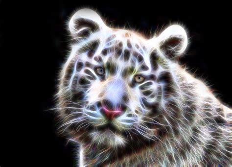 Wallpapers Tigers Fractals White