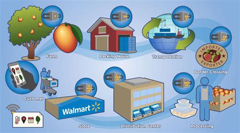 Walmart's Mango Traceability Project: A Global Perspective