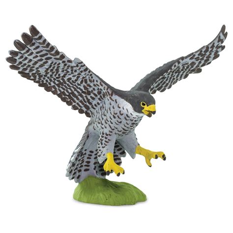 Walmart falcon. Things To Know About Walmart falcon. 