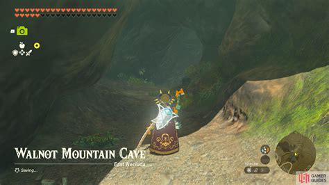 Walnot mountain cave treasure. Hateno Korok Seed 53. Location: This Korok appears at Walnot Mountain on the south edge of the Lanayru Range. Look for the southern peak for a flower trail leading to another peak to the left. 