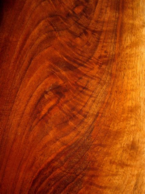 Walnut Color Sorting FANDOM powered by Wikia