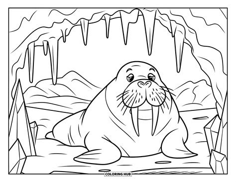 Walrus Coloring Shee