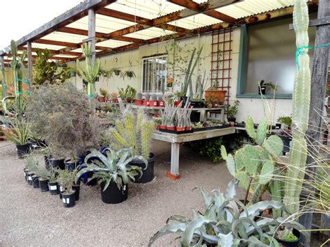 Walter andersen nursery. Visit our 2500 sq. ft. greenhouse with its vast selection of air plants, bromeliads, ferns, ficus and indoor speciman plants, and unique and rare selections. Visit our open greenhouse for large pottery, fountains, and garden art. It's the perfect destination for serious garden designers and backyard enthusiasts alike. Fountains. 