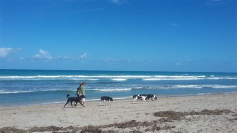 Walton Rocks Beach/ Dog Park - Tripadvisor