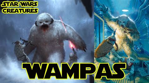 💦 Wamp_Star Leaked [HD]