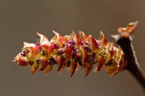 Wandeling in het Wik Natuurpunt