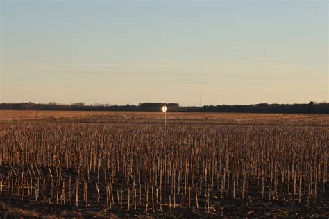 Wandering the News Desert in Pamlico County The Assembly