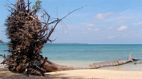 Wandoor Beach, Port Blair: How To Reach, Best Time & Tips